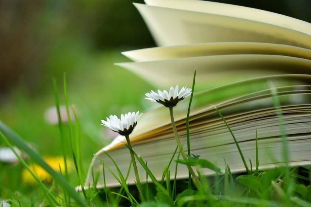 livre éducation fleur