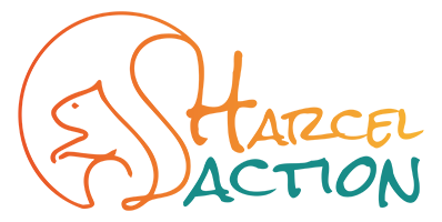 logo-harcelaction